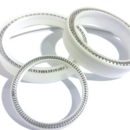 Prodotto Guarnizoni Energizzate - Gasket Italy