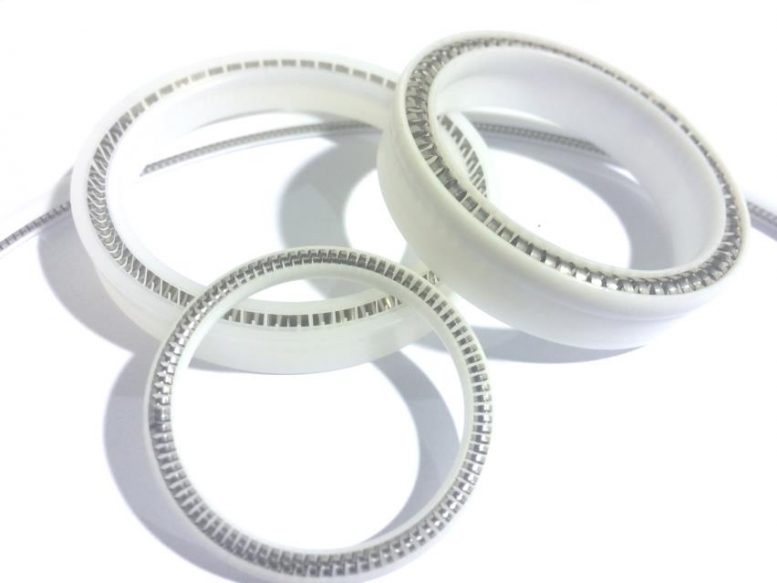 Prodotto Guarnizoni Energizzate - Gasket Italy